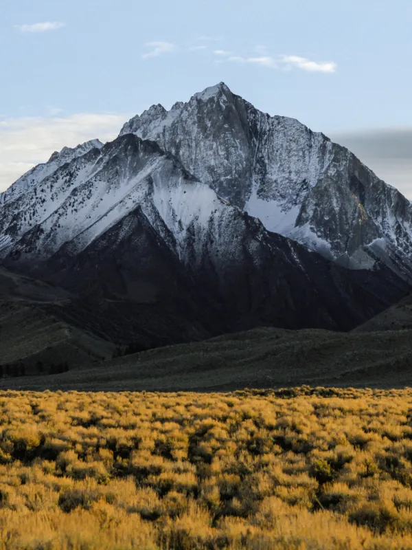 Snow Mountains 02